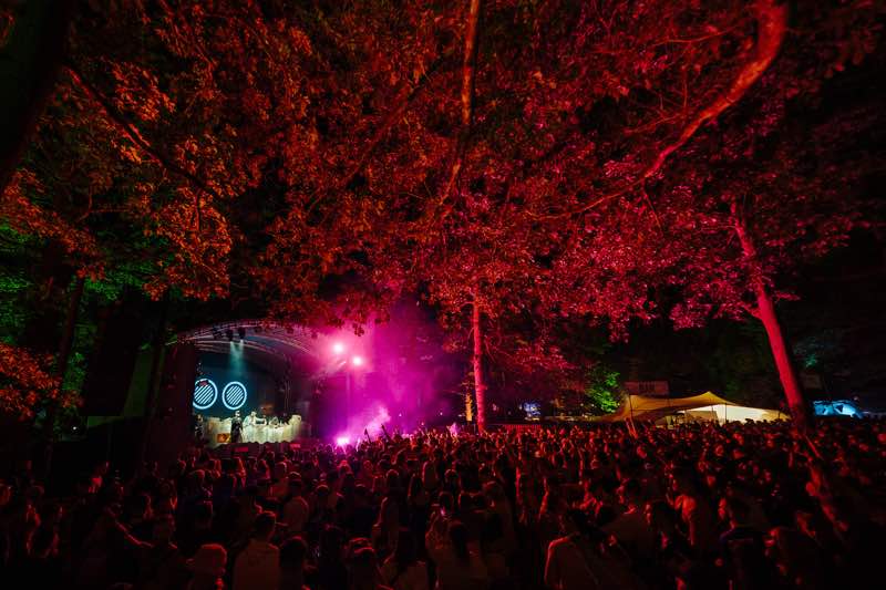 Colours at Forbidden Forest Festival
