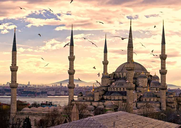 Hagia Sofia sea birds in Istanbul
