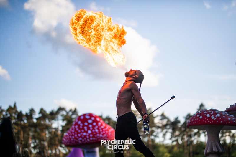 Fire show at Psychedelic Circus Festival